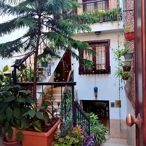 Otel Sphendone, İstanbul
